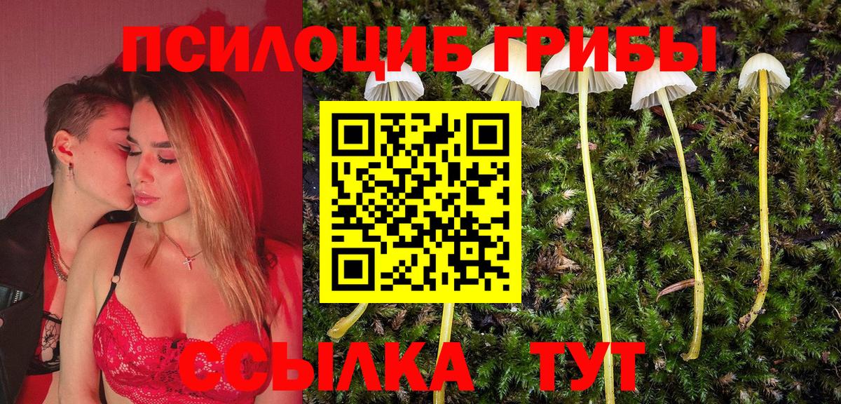 сколько стоит  Псилоцибиновые грибы ЛСД  Михайловка  Вход с VPN  Псилоцибиновые грибы ЛСД 