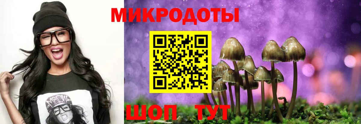 Псилоцибиновые грибы прущие грибы Михайловка